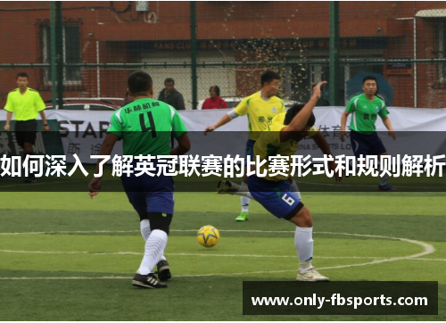 如何深入了解英冠联赛的比赛形式和规则解析
