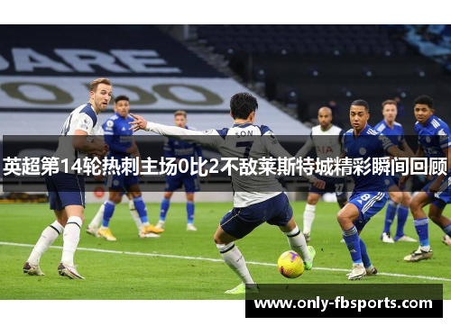 英超第14轮热刺主场0比2不敌莱斯特城精彩瞬间回顾