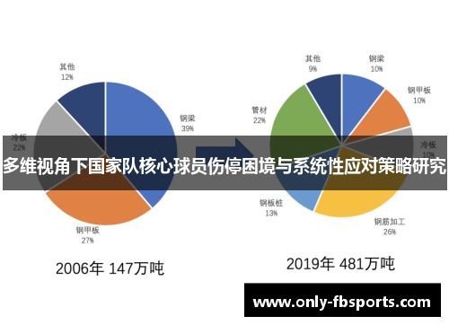 多维视角下国家队核心球员伤停困境与系统性应对策略研究