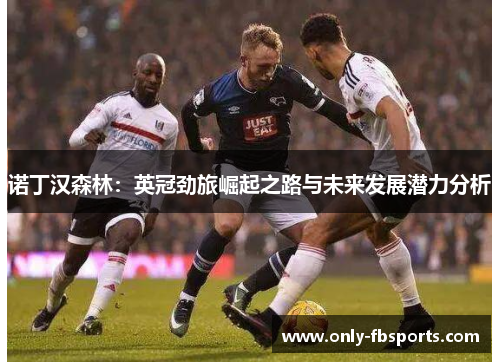 诺丁汉森林：英冠劲旅崛起之路与未来发展潜力分析