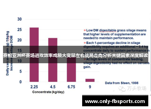 赛前亚洲杯赛场进攻效率成最大变量左右战局走向分析关键因素深度解读
