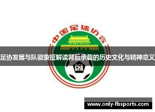 足协发展与队徽象征解读背后承载的历史文化与精神意义