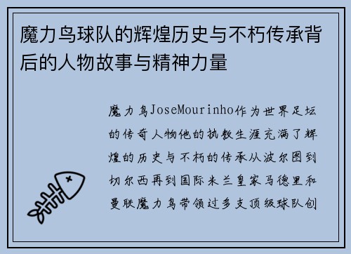 魔力鸟球队的辉煌历史与不朽传承背后的人物故事与精神力量 魔力鸟球队的辉煌历史与不朽传承背后的人物故事与精神力量